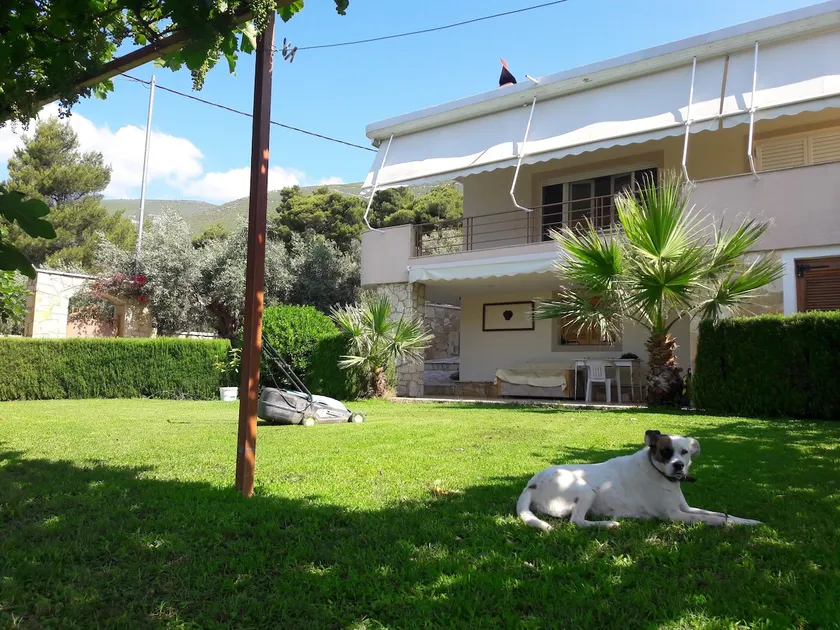 Relaxing Country house PORTO VITO - Image 1