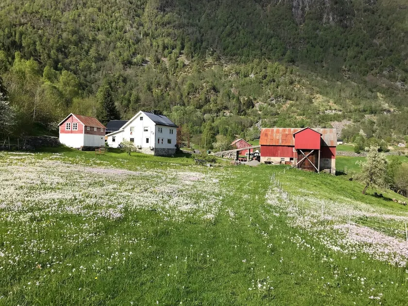 Volda, home with views in rural surroundings, 1st floor - Image 1