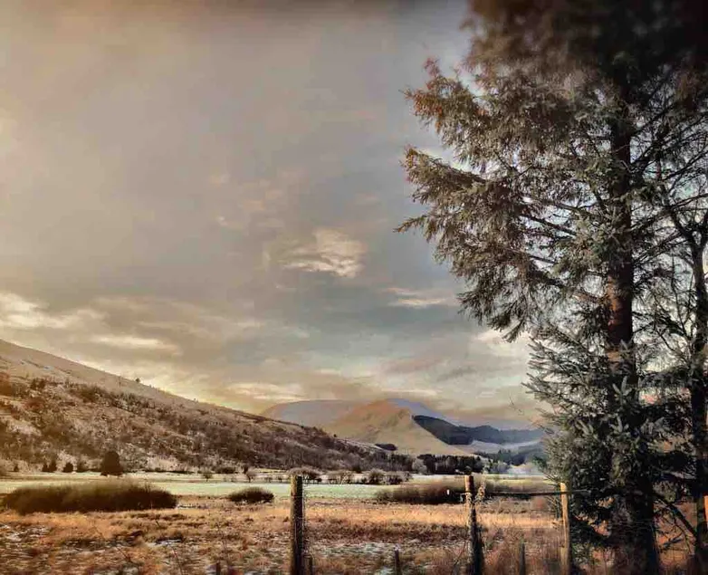 Corlae Cottage, mountain and forest views - Image 1