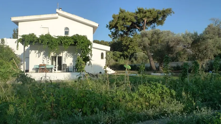 The Garden View House in Ialysos - Image 1