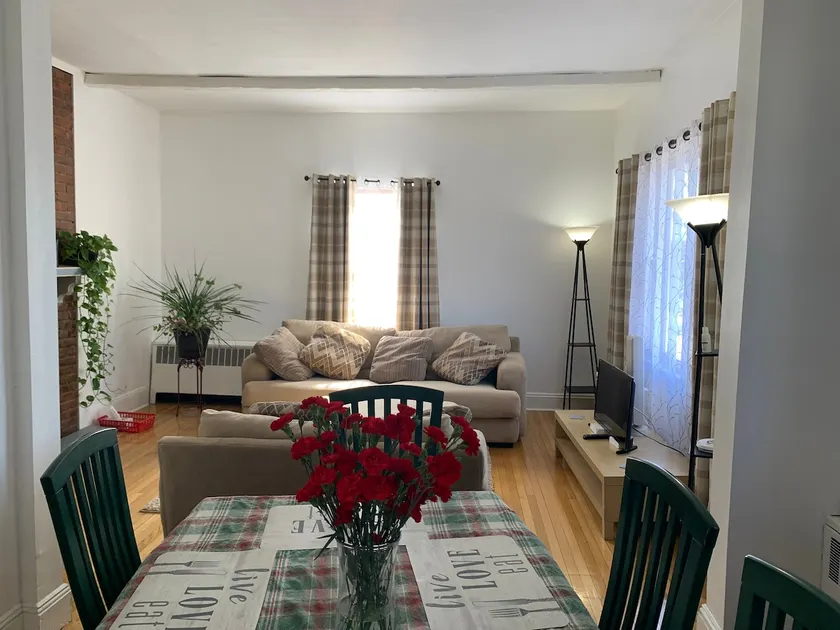 An entire apartment with one car free parking - Image 1