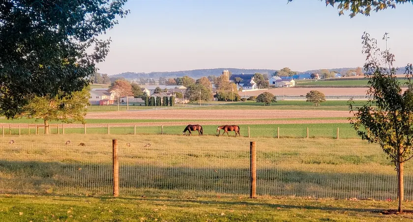 Stunning Home with Unbelievable Farmland Views - Image 1