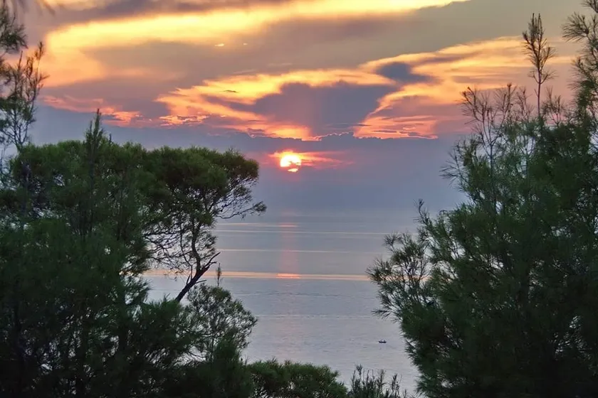 Poseidi - Villa Olivia - Image 1