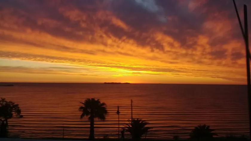 COLONIA SUNSET (509) - Image 1