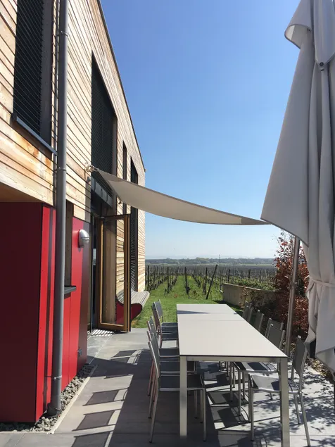 Architect-designed eco-gîte, vineyard, 5 suites, sauna - Image 1