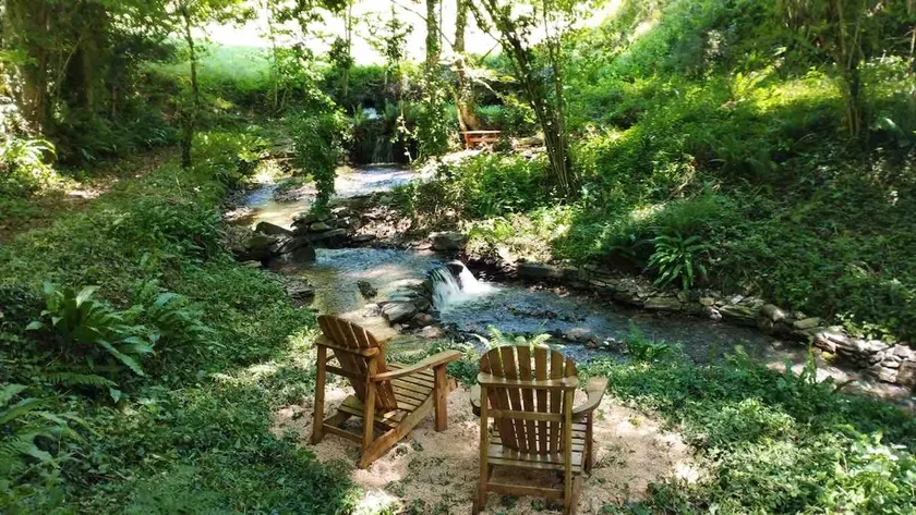 Terra Bosca forest freshness-Sidobre - Image 1