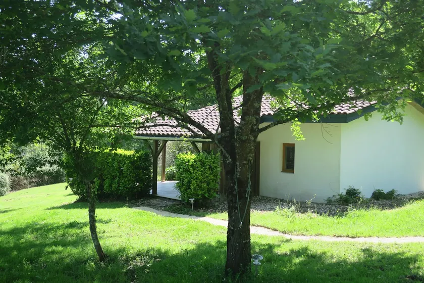 Hirondelle Castelnau D'Auzan Labarerre - Image 1