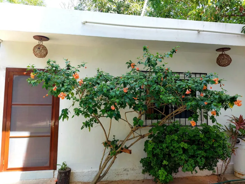 Sak-Nah Tulum Studio 🌴🏡 - Image 1