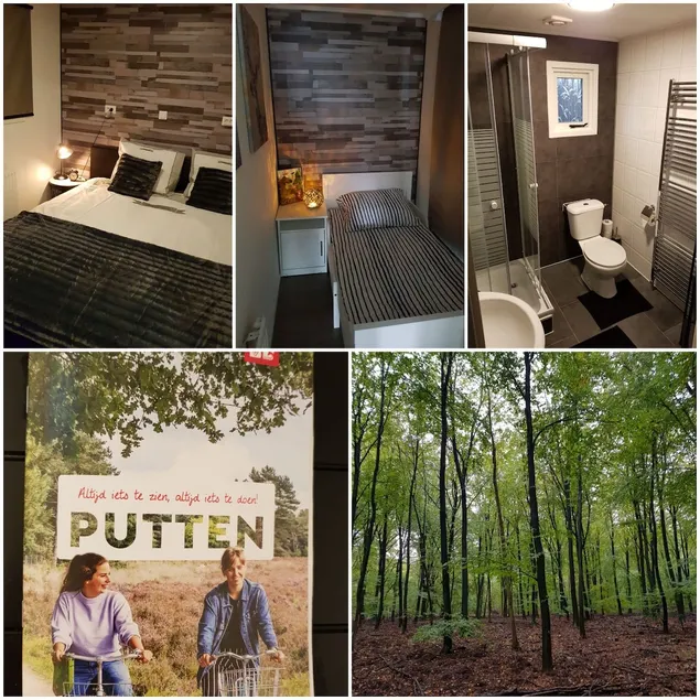Chalet op de veluwe - Image 1