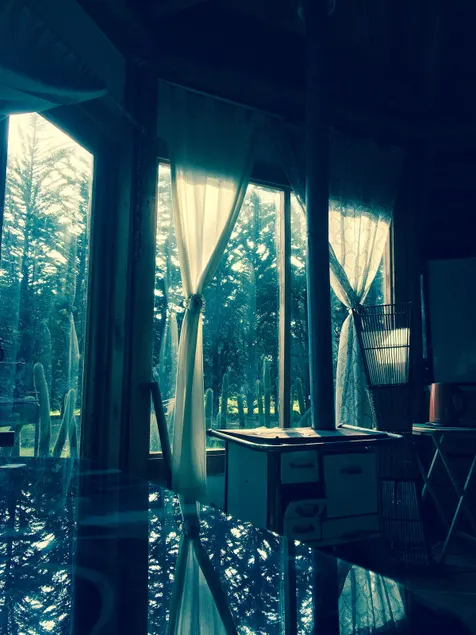 The Tebito Lodge. Beach & Forest. Glamping - Image 1
