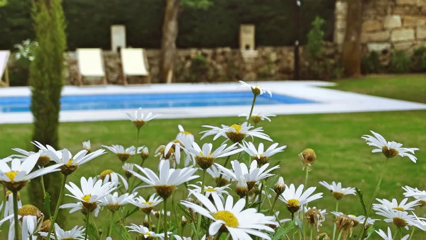 CASA DA ESTALAGEM - KOMFORT OG TRANQUILITY - Image 1