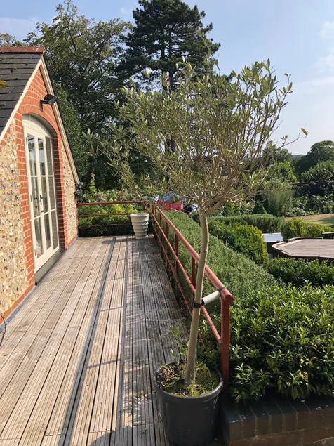 Walled Garden Cottage by Vineyard - Image 1
