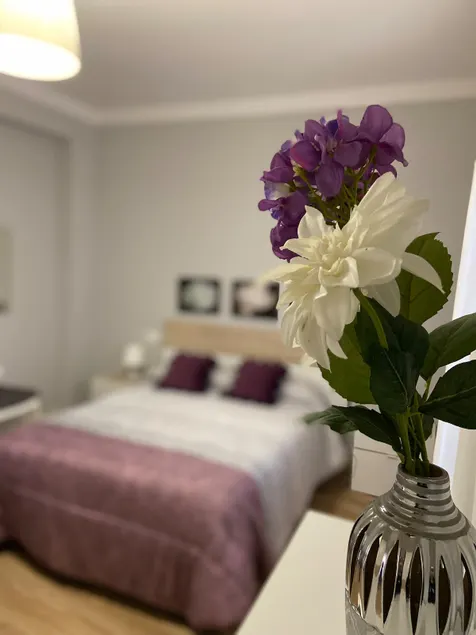 Apartamento Venus - Image 1