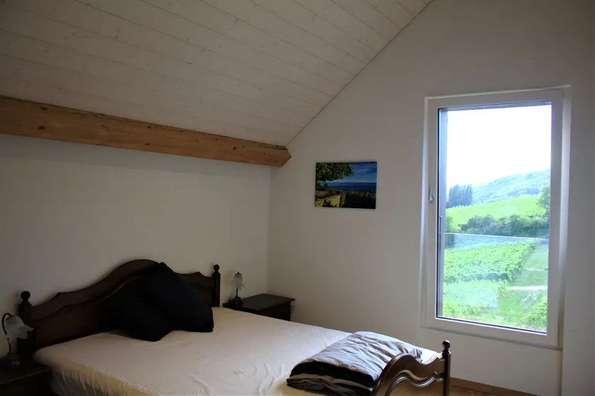 Chasselas apartment with views of Lake Geneva - Image 1