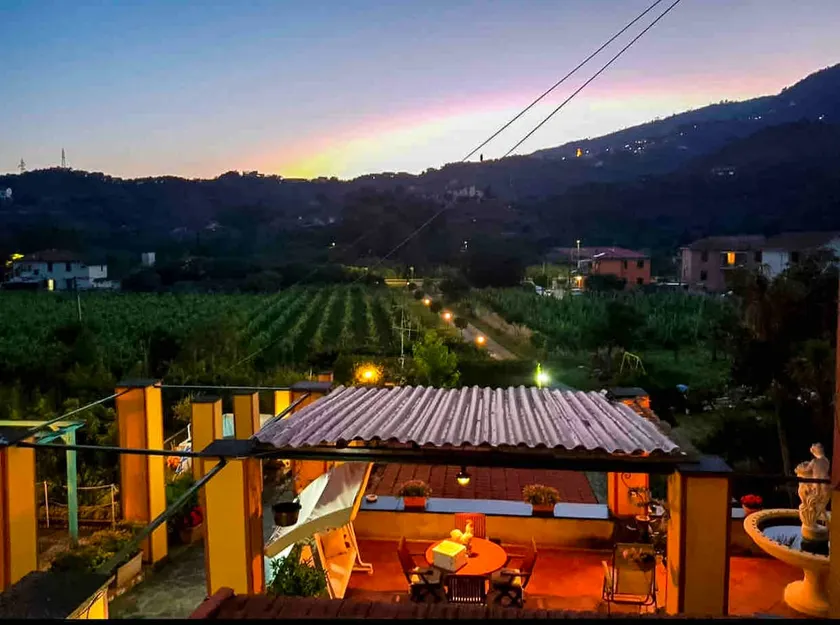 The terrace overlooking the vineyard - Image 1