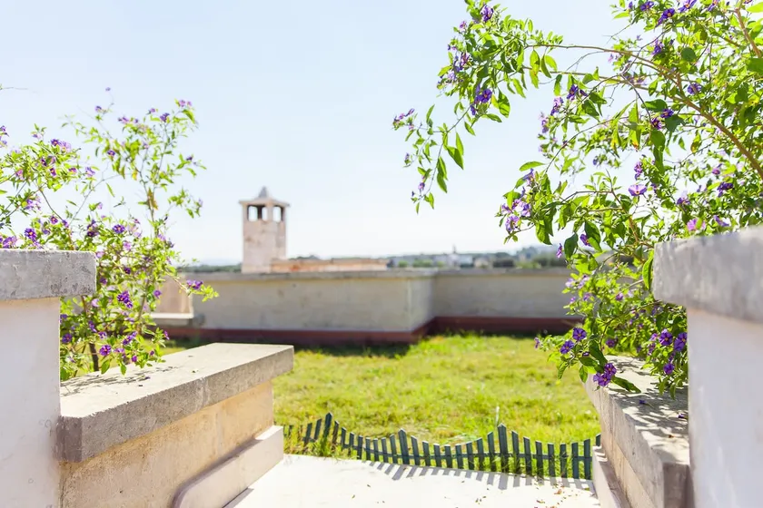 GLICINE in villa PUGLIESE - Image 1