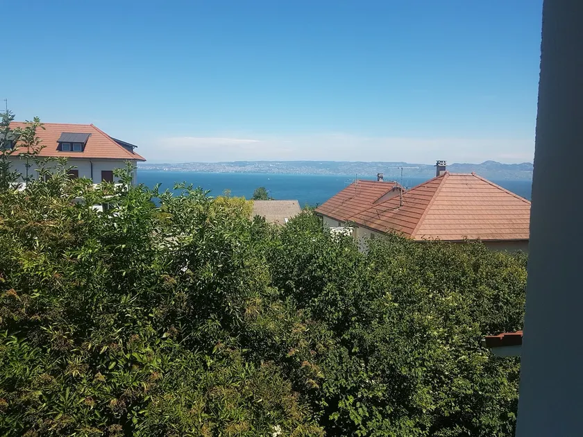 Villa muito bonita Evian / Neuvecelle - Image 1
