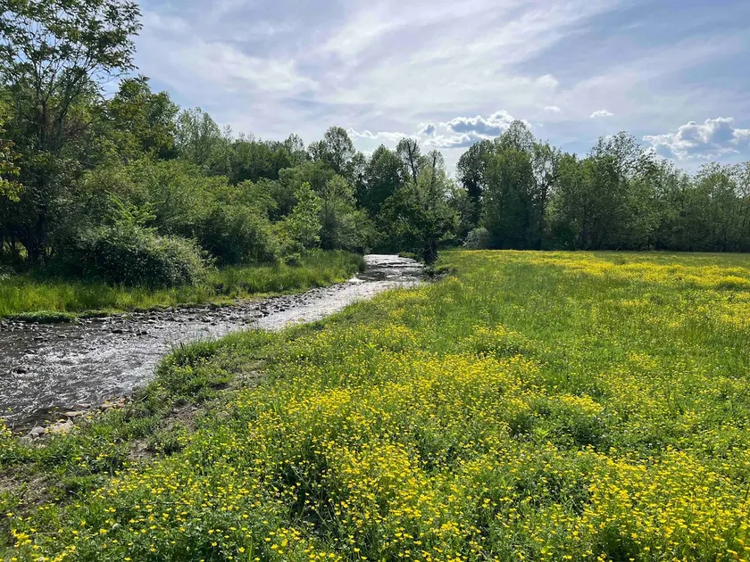 River Stone Farm House on Trout Steam - Image 1