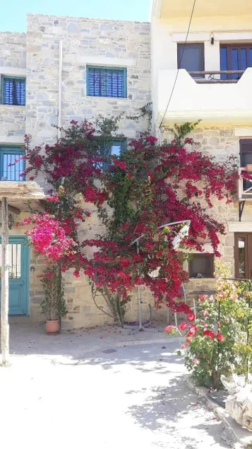 Kritikies Ariadni Apartment - Image 1
