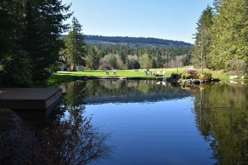 Forget Me Not | Pond | Close to ONP - Image 1