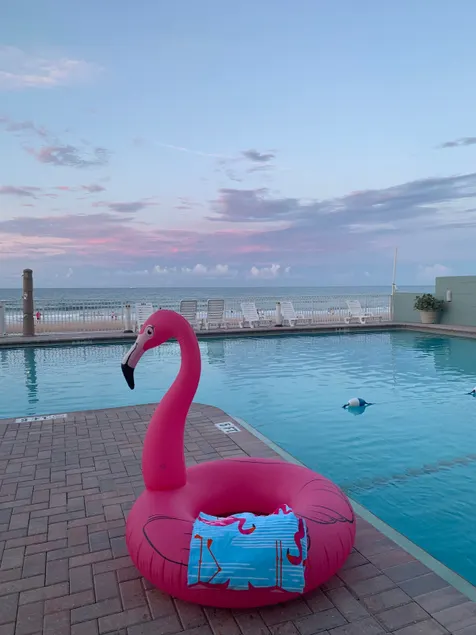 Flamingo beachfront condo WITH NEW POOL - Image 1