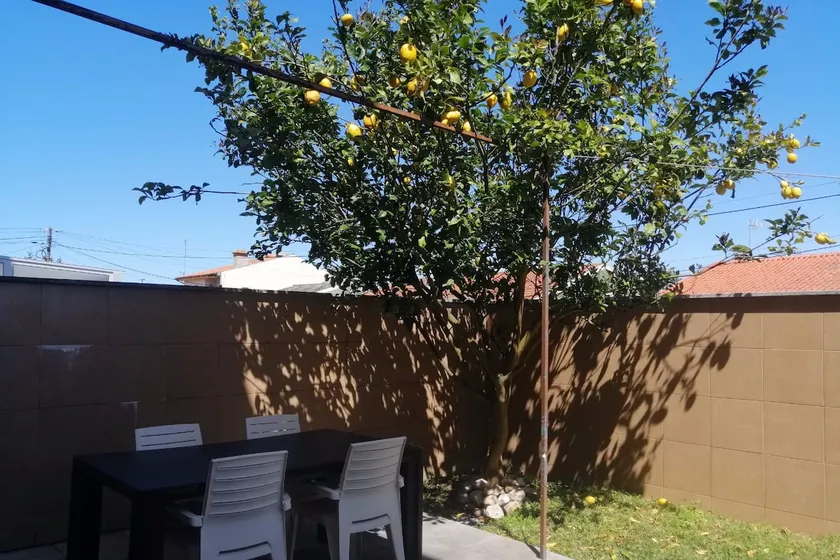 Lemon Tree Apartment - Image 1