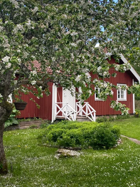 Cozy house by the sea in Herräng - Image 1