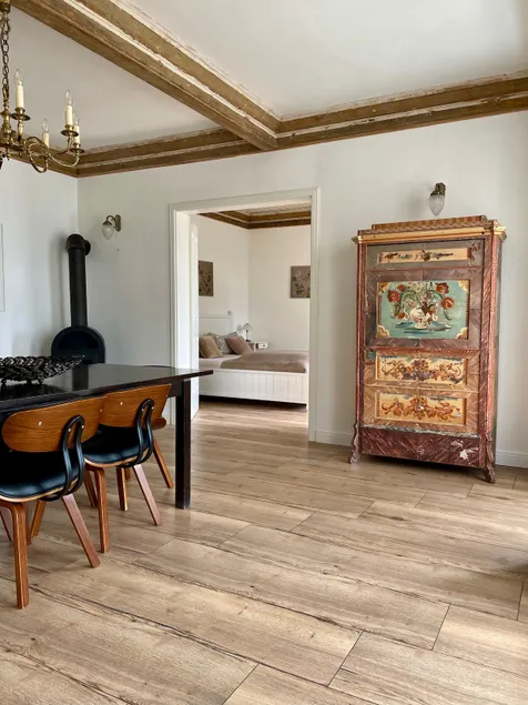 Wonderful apartment in Elbhang Dresden Loschwitz - Image 1