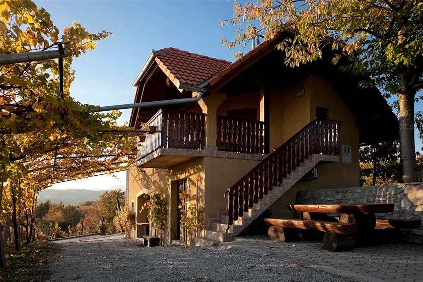 Vineyard Cottage Brodaric - Image 1
