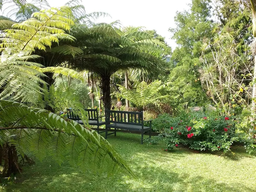 The Punga studio in Titirangi bush-garden setting - Image 1