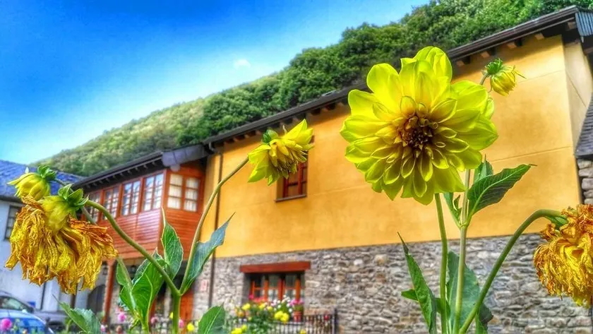 A four-bedroom country house with a bathroom - Image 1