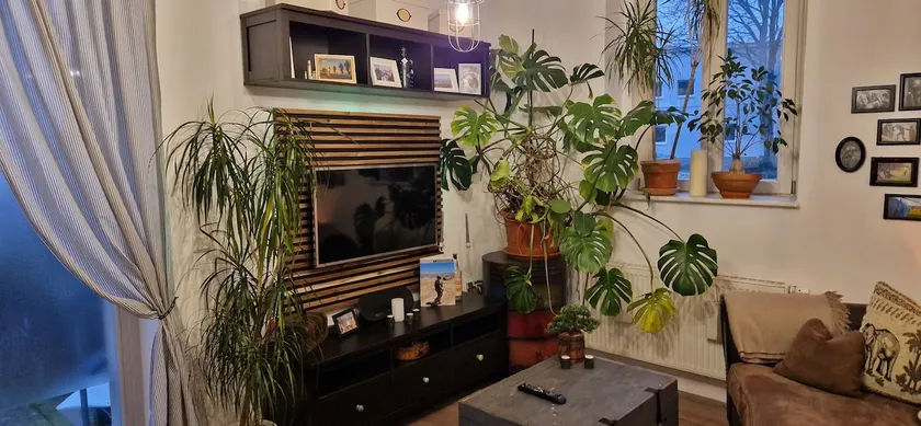 2-room apartment in city near and terrace - Image 1