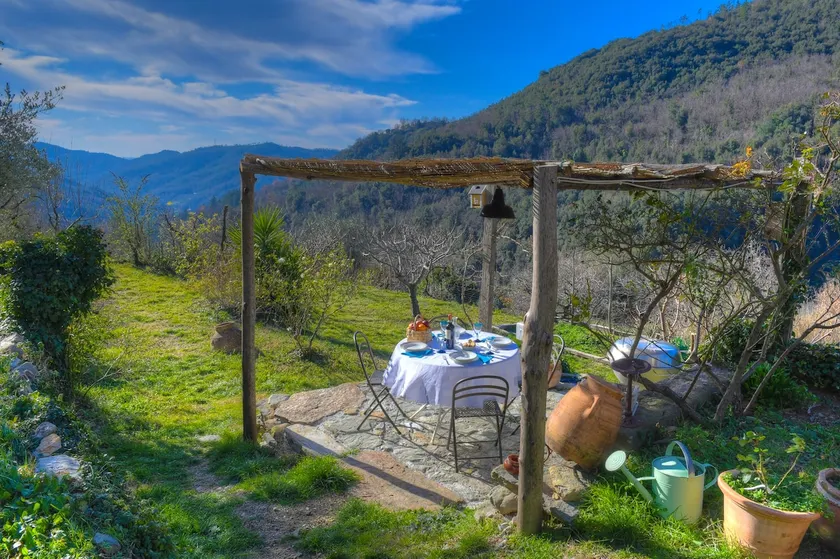 Iara – Entspannung, Natur und Radfahren zwischen Olivenbäumen im Casa del Canto - Image 1