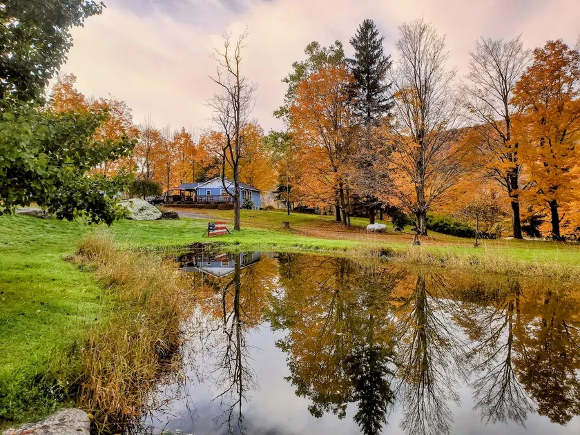 Arcade|Music|BBQ|Fire Pit|Acres|Batavia House! - Image 1