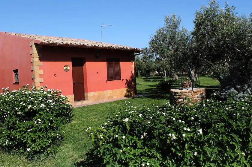 The Garden of Olive Trees - Image 1