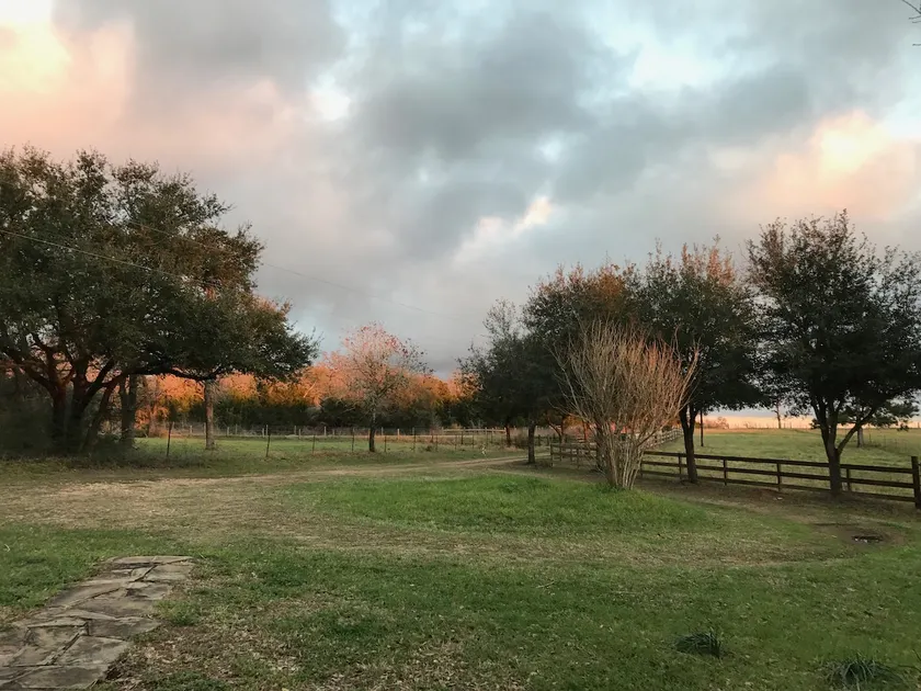Cozy Texas Bluebonnet Country Cabin - Image 1