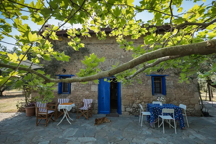 Hidden cottage, private beach access and sea view. - Image 1