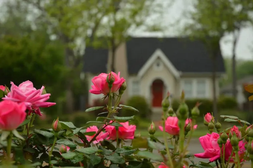 Charming 1920s Bungalow in Historic Downtown RR - Image 1
