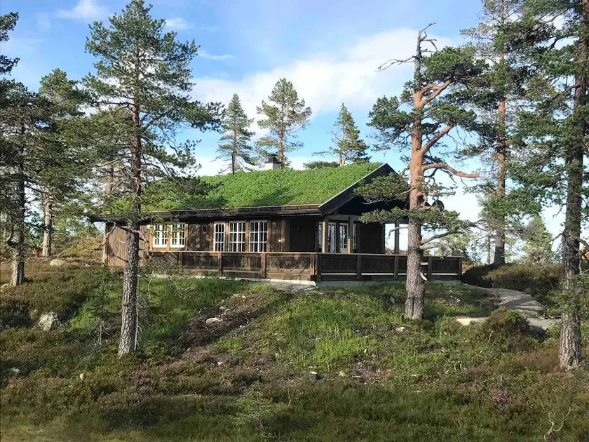 Vikerfjell - Ringerudsetra. - Image 1
