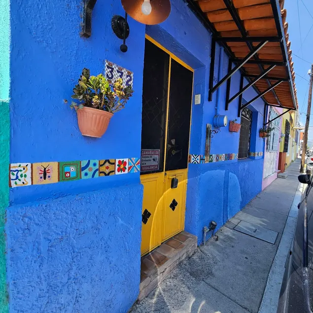 Chapala Central convenient beautiful garden - Image 1
