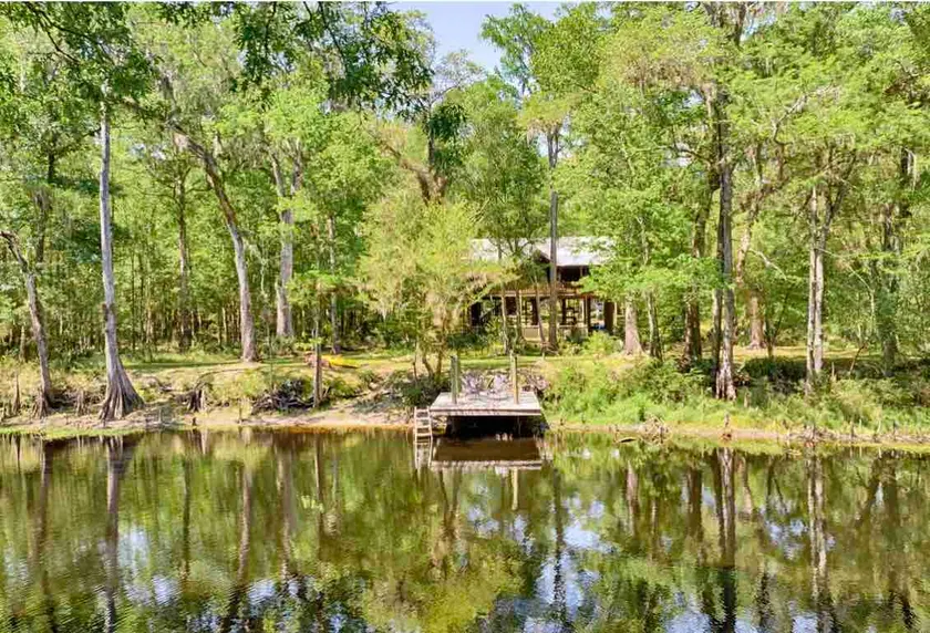 Family Treehouse on The Santa Fe River - Image 1