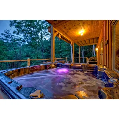 Amazing cabin mins to downtown; sleeps 10 - Image 1