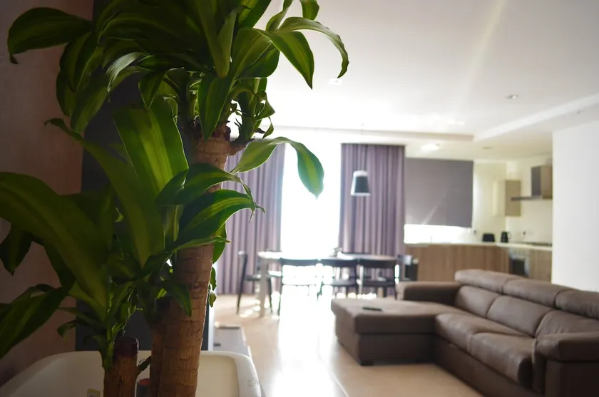 Hepburn Holiday Apartment - Image 1