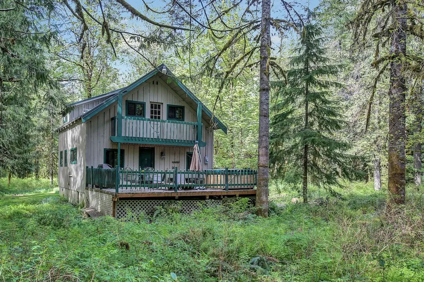 Family/pet friendly cabin, Salmon River,hot tub - Image 1