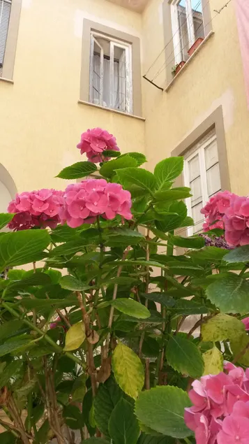Casa Girasole - Image 1