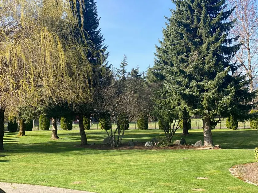 Enjoy this beautiful place with 4 bedroom , kitchen ,BBQ ,pool table and more - Image 1