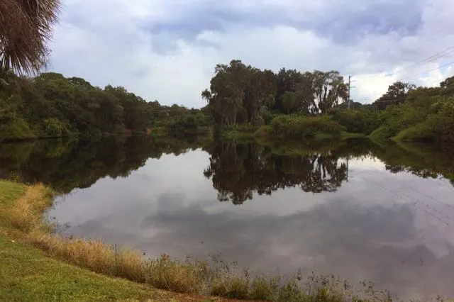 The Ibis Cottage - Image 1