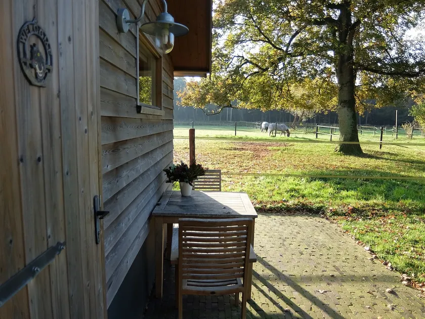 Cozy complete cottage in forest privacy - Image 1