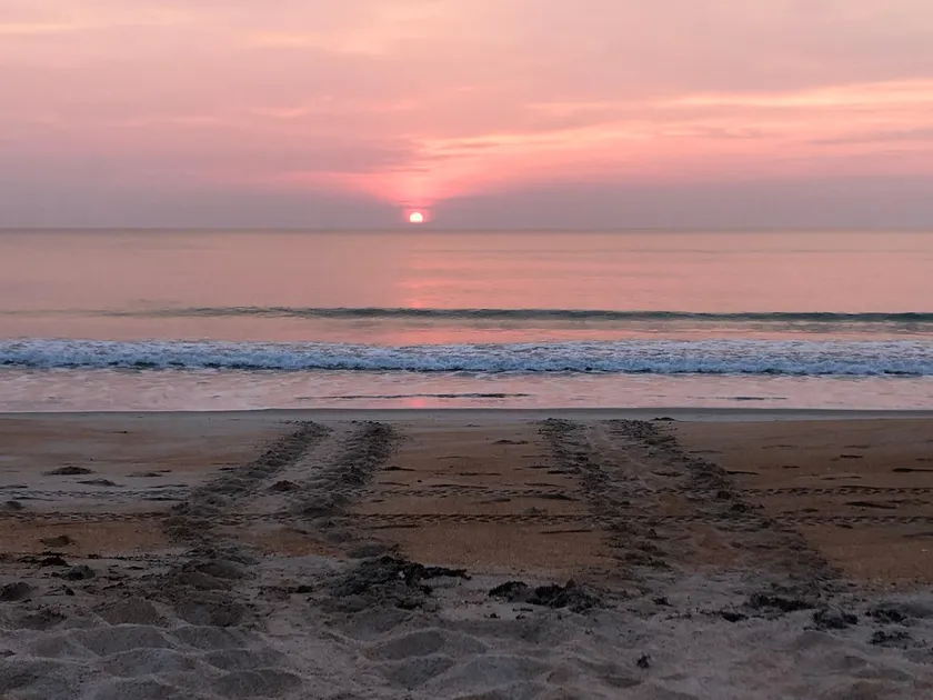 ”Keep it Simple” 2 BR Apt. steps from the Beach. - Image 1