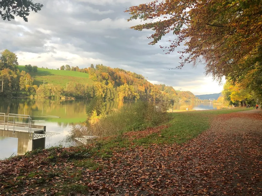 Charming Studio near Rotsee Lucerne Kitchen, WiFi, Washing machine - Image 1